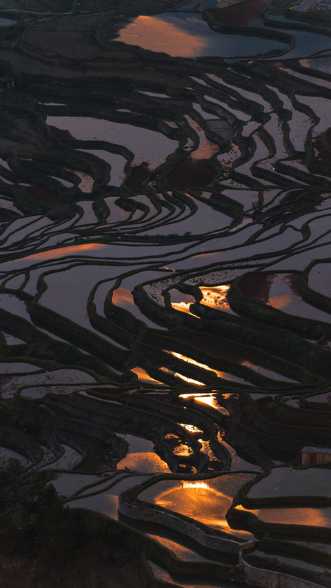 Yuanyang terraced fields cloud sea morning light screenshot