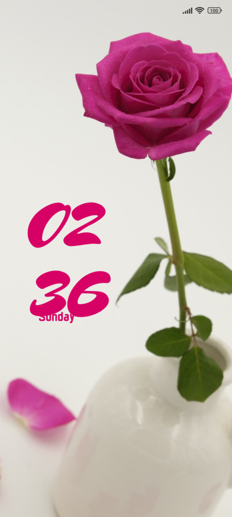 Blooming Delight screenshot