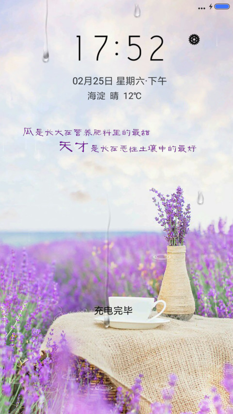 薰衣草的暗恋 screenshot