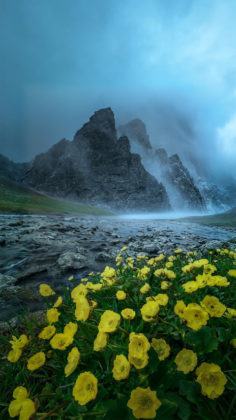 The summer in the depths of the tianshan mountains is screenshot
