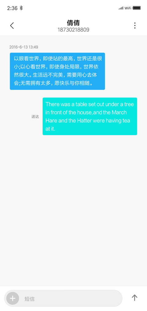 简约 极光 screenshot
