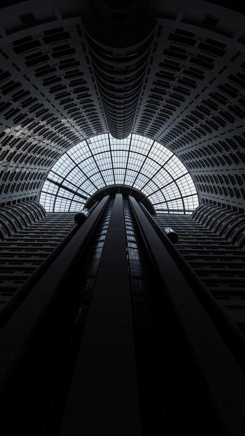 Looking up i encounter a grand blackandwhite scene screenshot