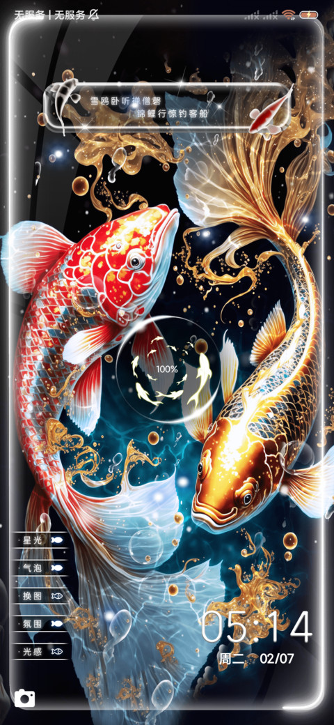 锦鲤成双 多换图 screenshot