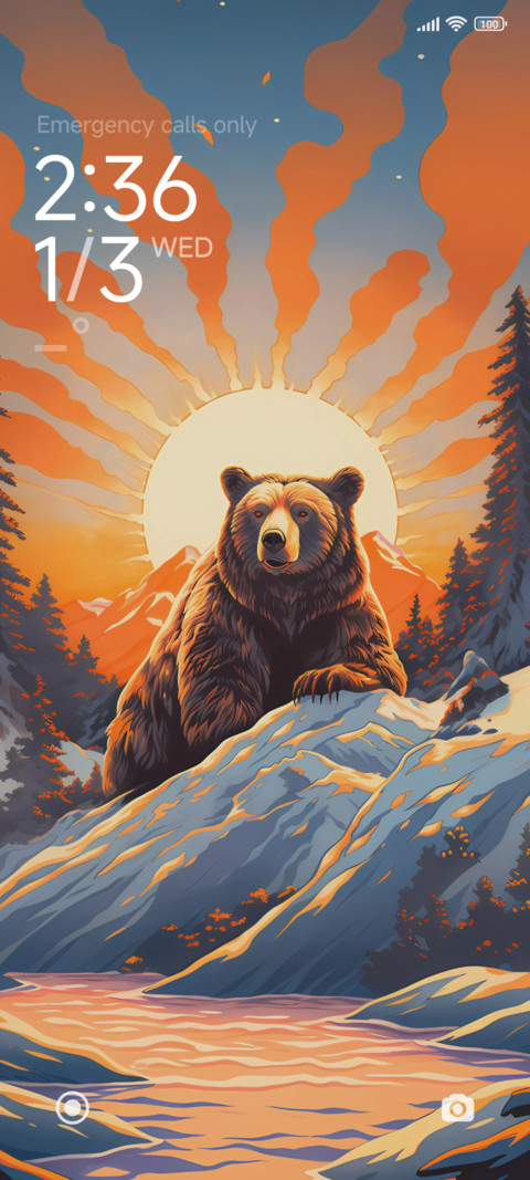 Brown bear screenshot