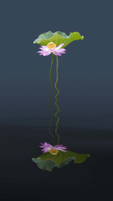 The fate of li bai and lotus 4 screenshot