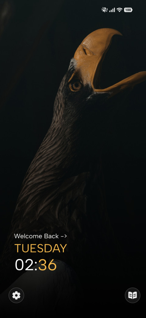 Golden Curlew screenshot
