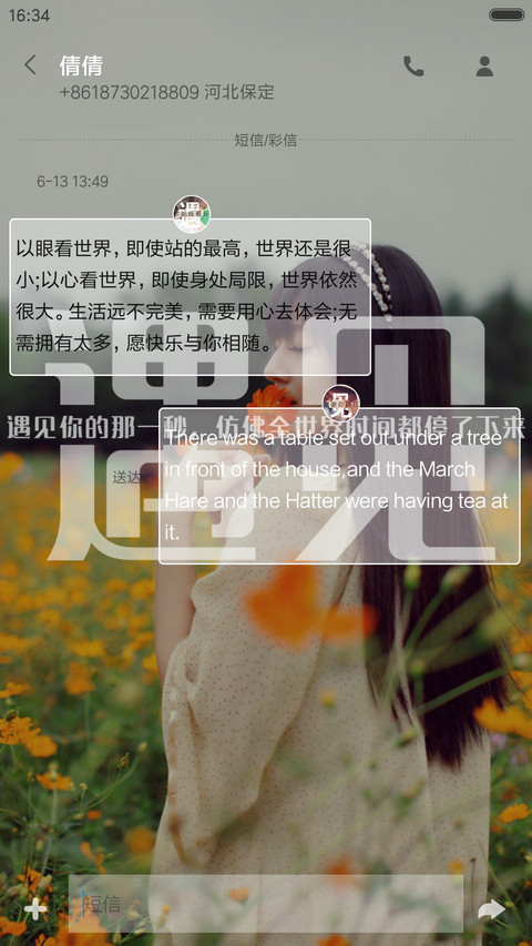 中毒太深，唯独你能解(双锁屏+文字+全图标覆盖) screenshot