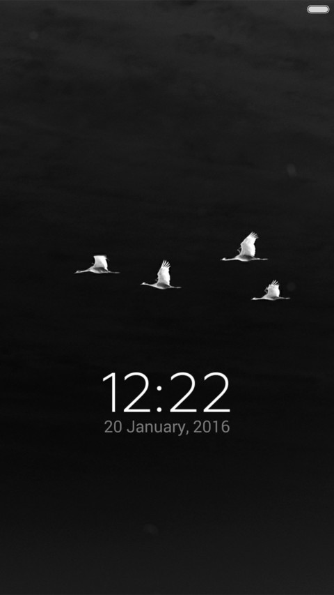  IN Freedom screenshot