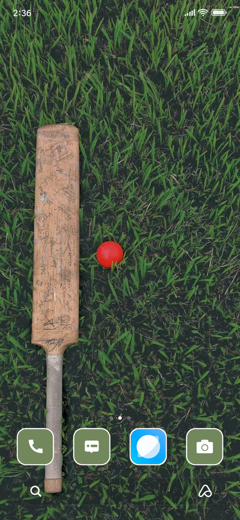 Cricket screenshot