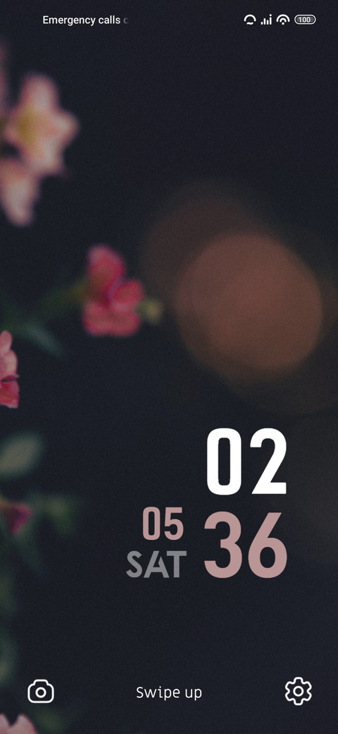 Flower Bulb screenshot