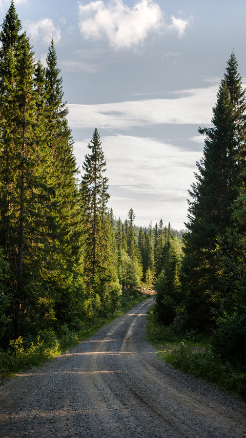 Natural scenery-02 screenshot