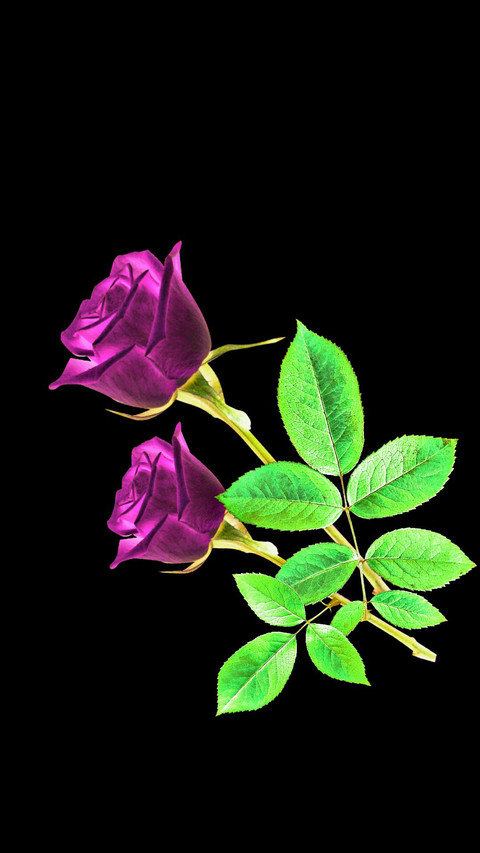 001 screenshot