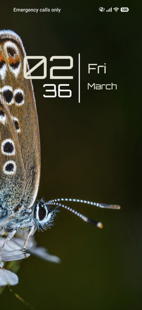 Flutterverse screenshot