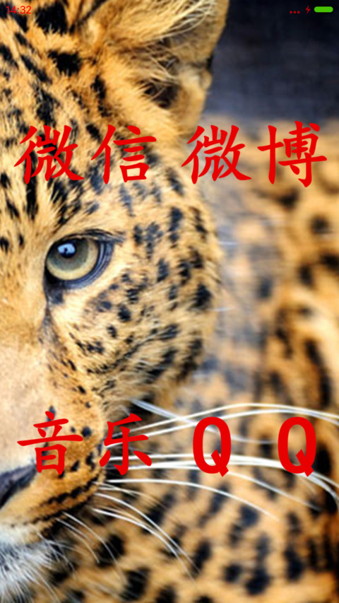 豹口取宝 screenshot
