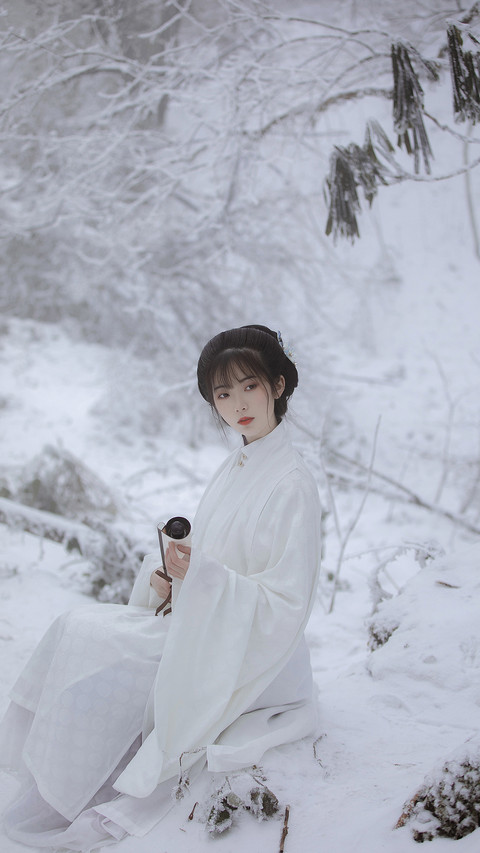 枝头薄雪尚存 screenshot