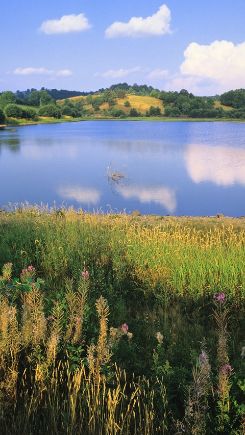 international_scenery (7) screenshot