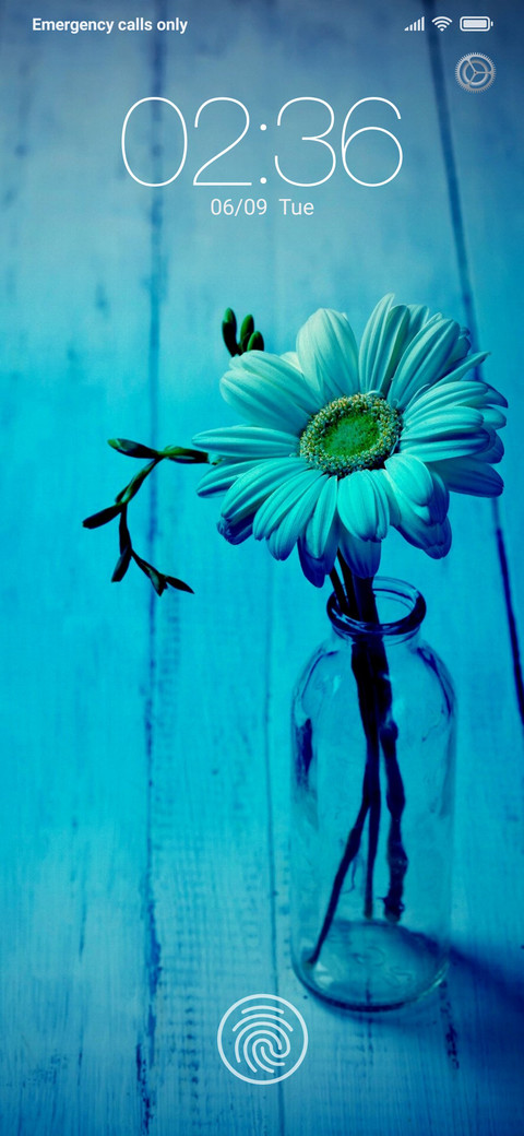 Daisy screenshot