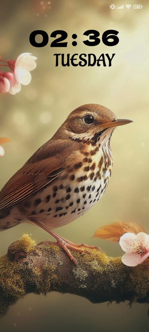 Song Thrush screenshot