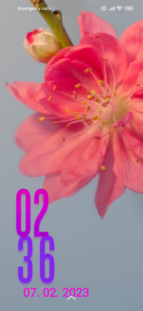 cherry flower screenshot