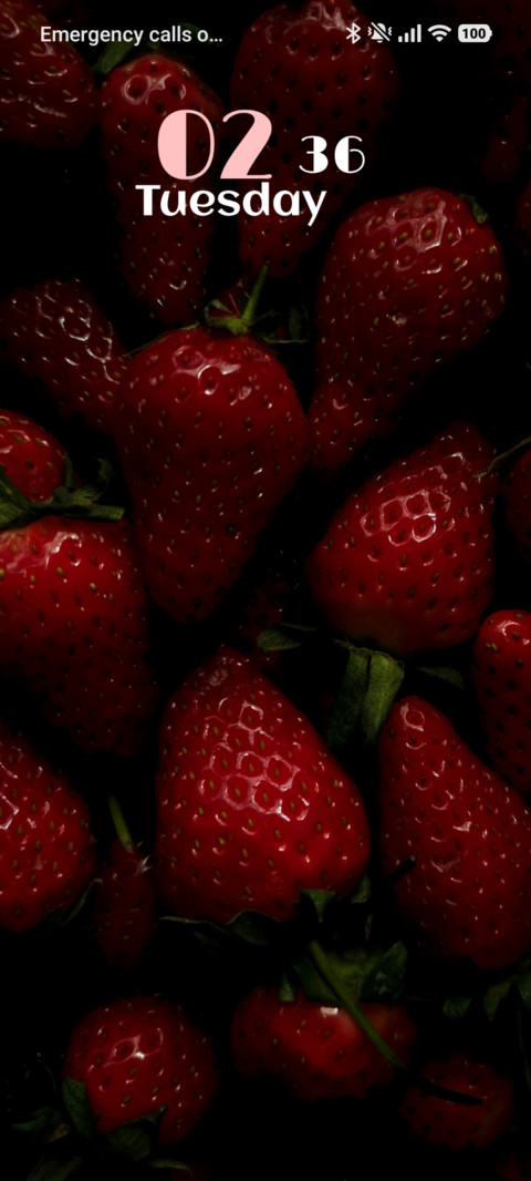 Berry Bloom screenshot