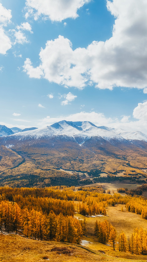 Lingering in the autumn of xinjiang screenshot