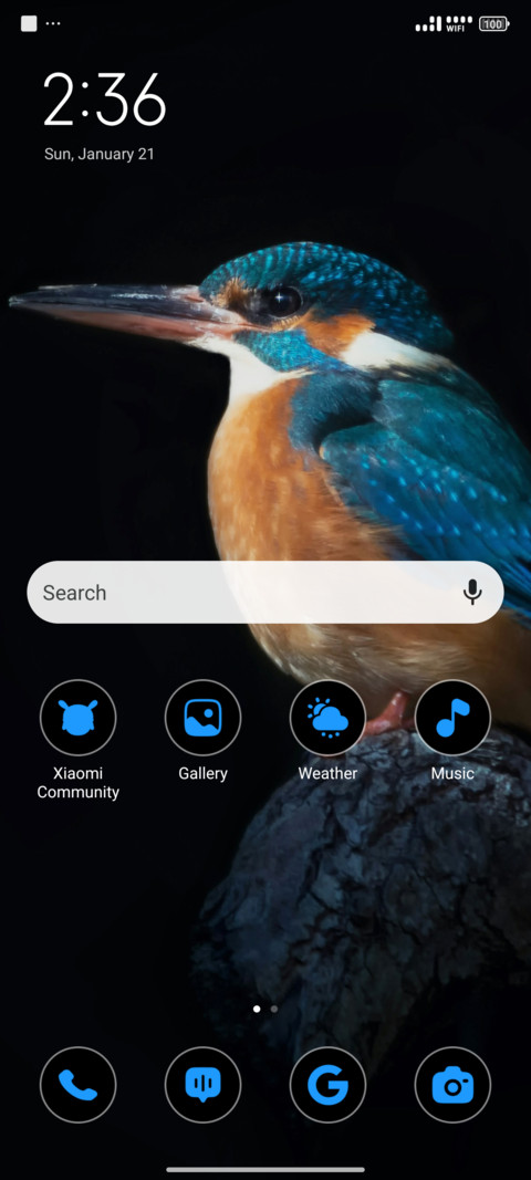 Brown Bird screenshot