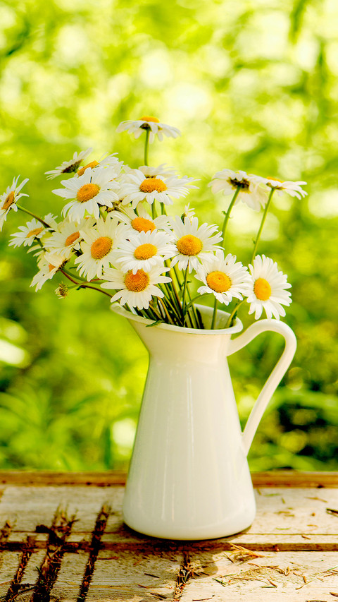 Blooming Flowers screenshot
