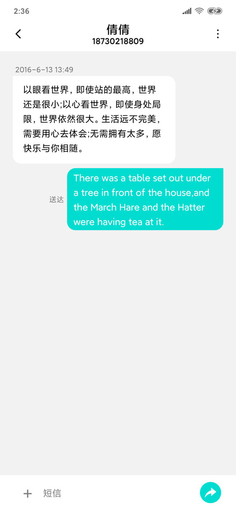 素净 screenshot