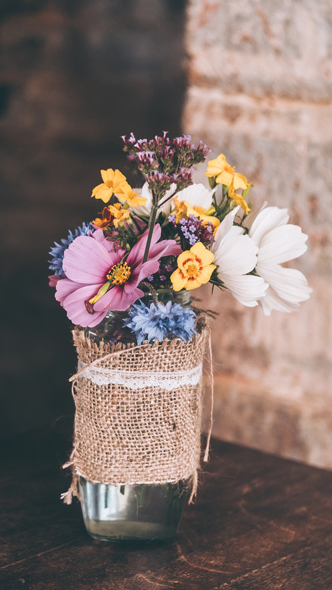 VASE screenshot