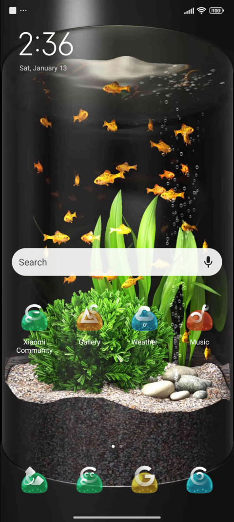 Goldfish screenshot