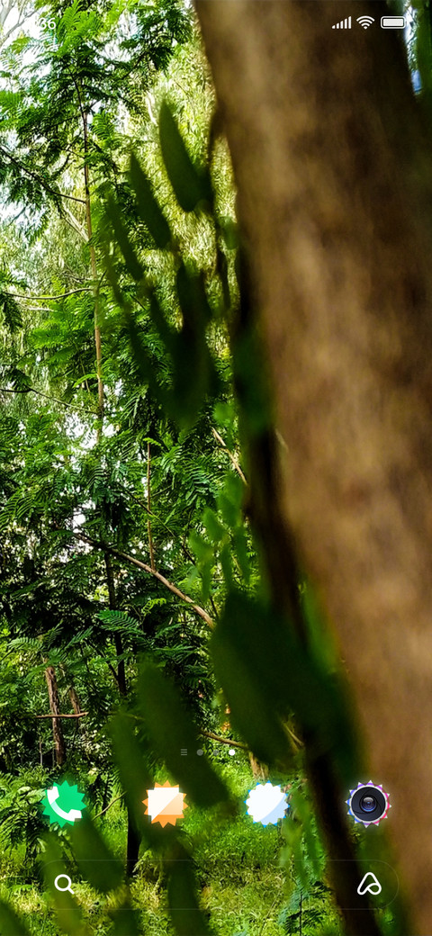 Forest Flora_DWM2 screenshot