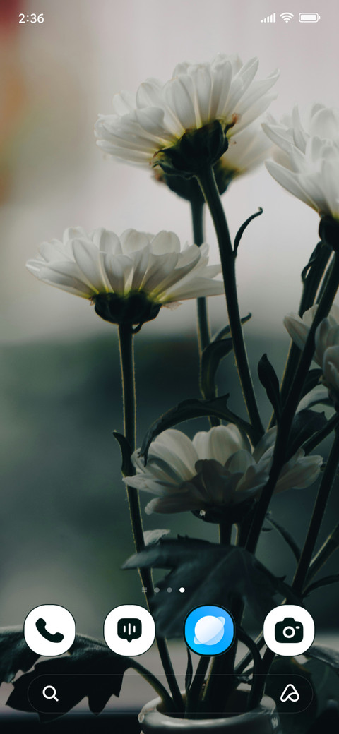 White Elegance screenshot