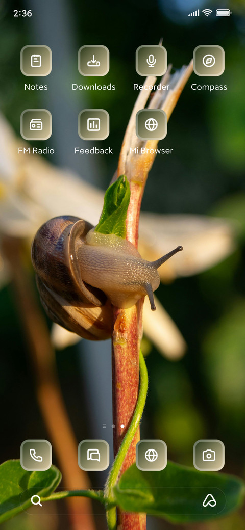 Snail screenshot