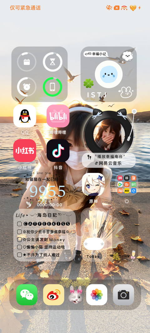 ins爱你的笨蛋 screenshot