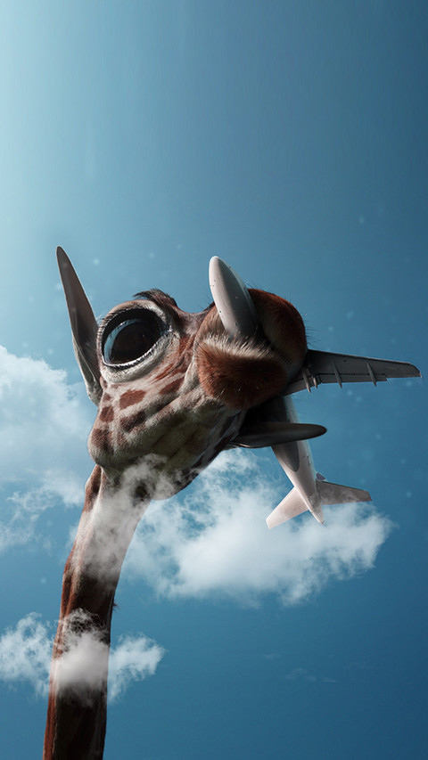 giraffe (1) screenshot