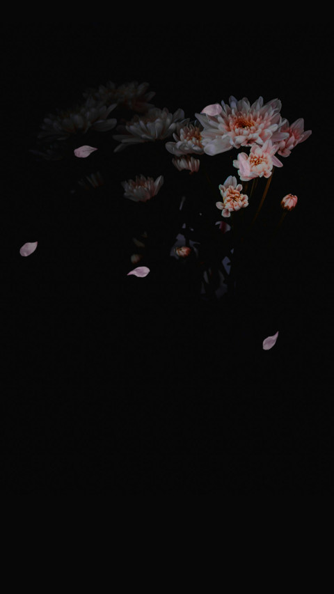 点点余香 screenshot