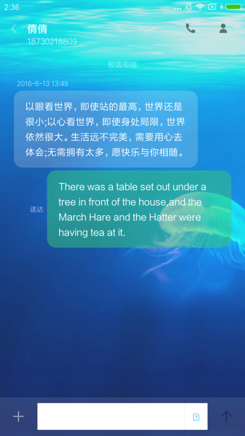 C 蓝色大海的传说 screenshot