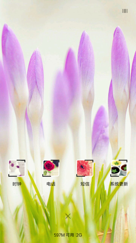 花之微距 screenshot