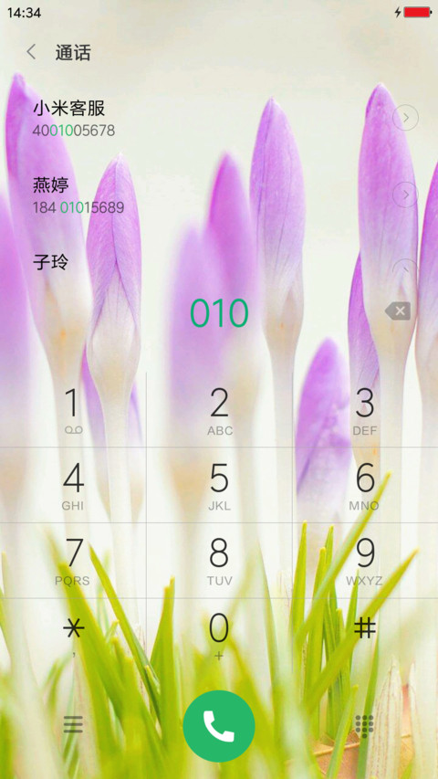 花之微距 screenshot