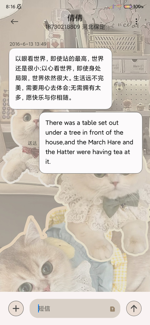 可爱拼贴 小猫日记 screenshot