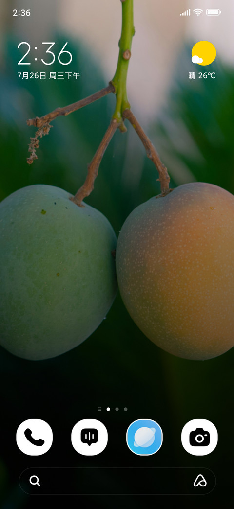 Twin Mangoes screenshot