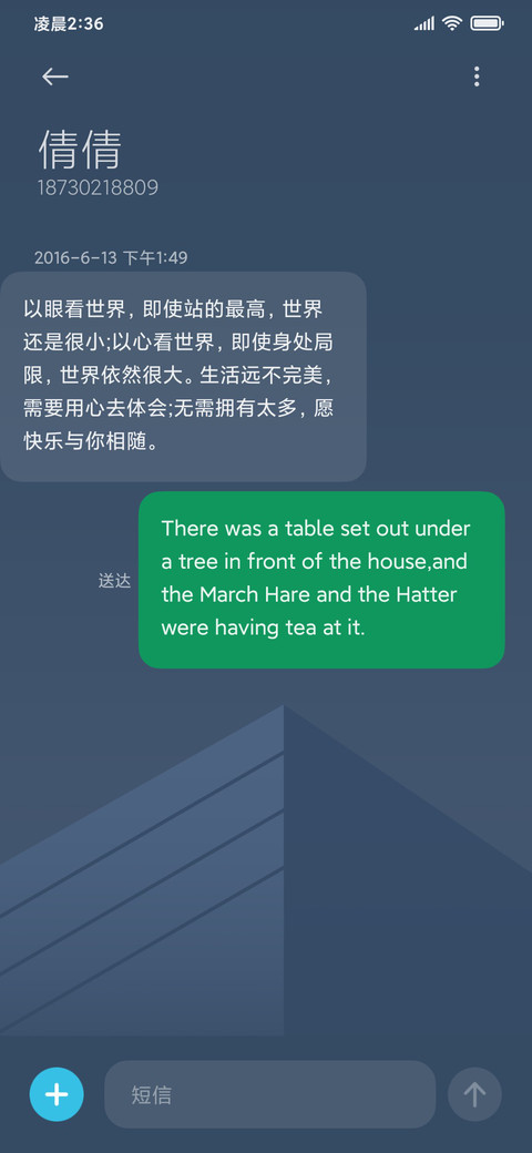 双模式 无极简灰 screenshot