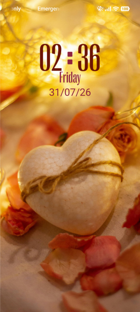 Flower Petals screenshot