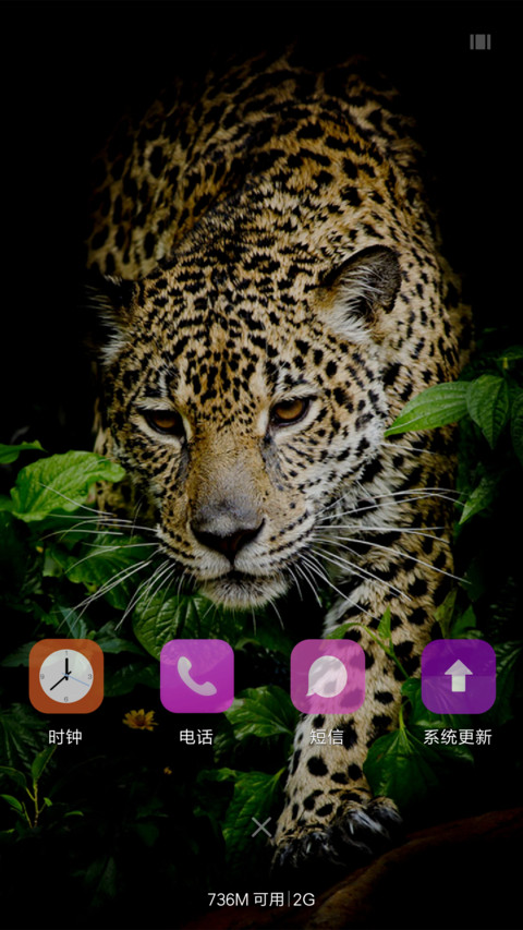 猎豹（雪花特效） screenshot