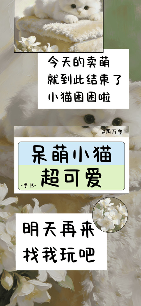 呆萌小猫超可爱 screenshot