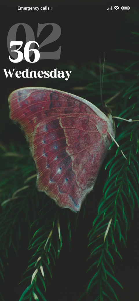 Butterfly screenshot