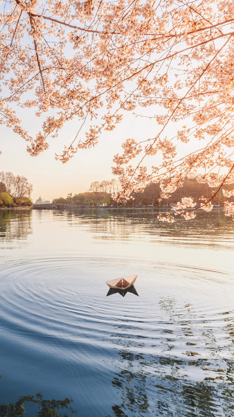 Cherry Blossoms are the Elves of Spring 2 screenshot