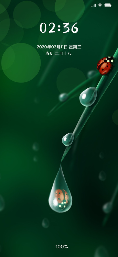七星瓢虫 screenshot