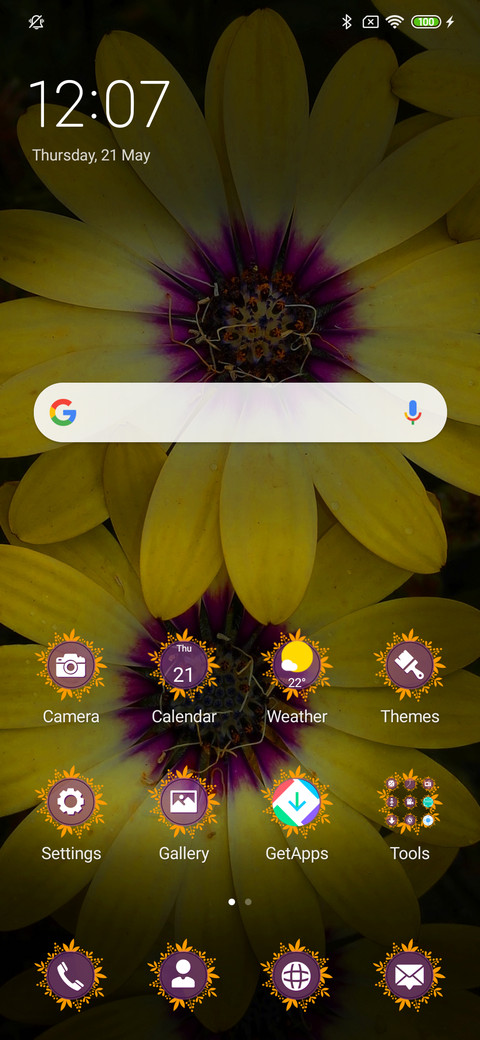 African Daisy_3MDS screenshot