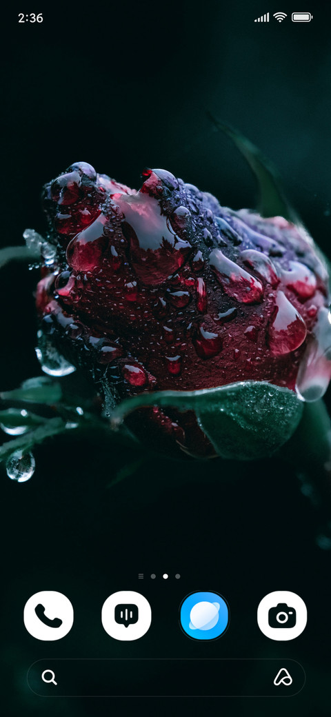 Crimson Bloom screenshot
